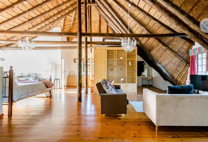 Mead, Pinelands Cidade Do Cabo Exterior foto